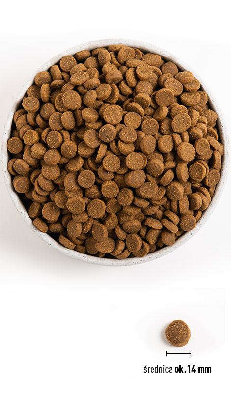 Acana wild 2024 coast dog food